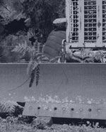 faded image of a derelict bulldozer